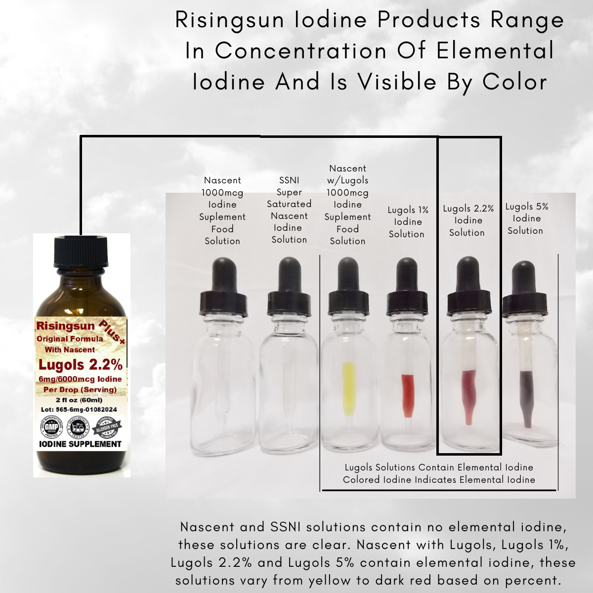 Risingsun PLUS Lugol 2 2 Percent Iodine 6mg Solution With Nascent risingsun-plus-lugol-2-2-percent-iodine-6mg-solution-with-nascent